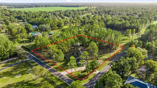 view of a green field