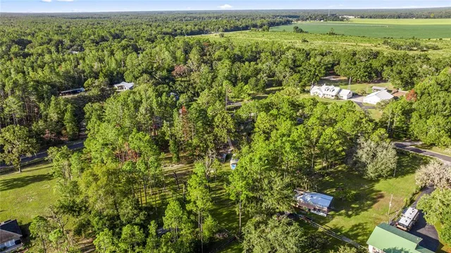 a view of a lush green field near a lake