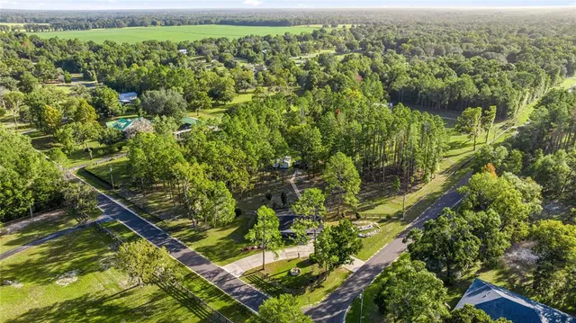 a view of outdoor space yard and green space