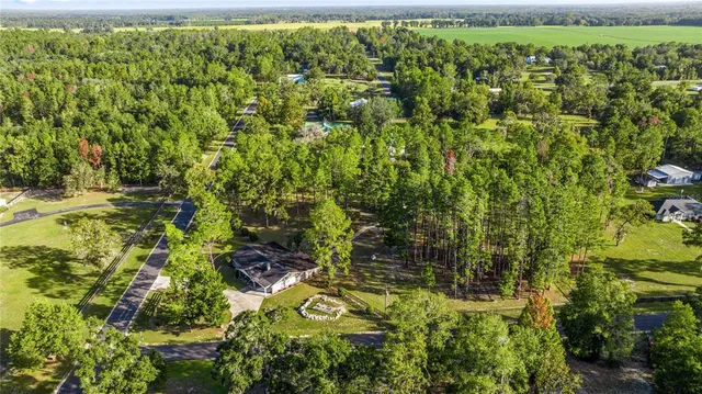 a view of a park with trees