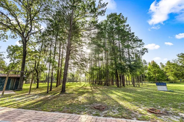 a view of a park with tree s