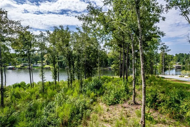 a view of a lake with a mountain in the background