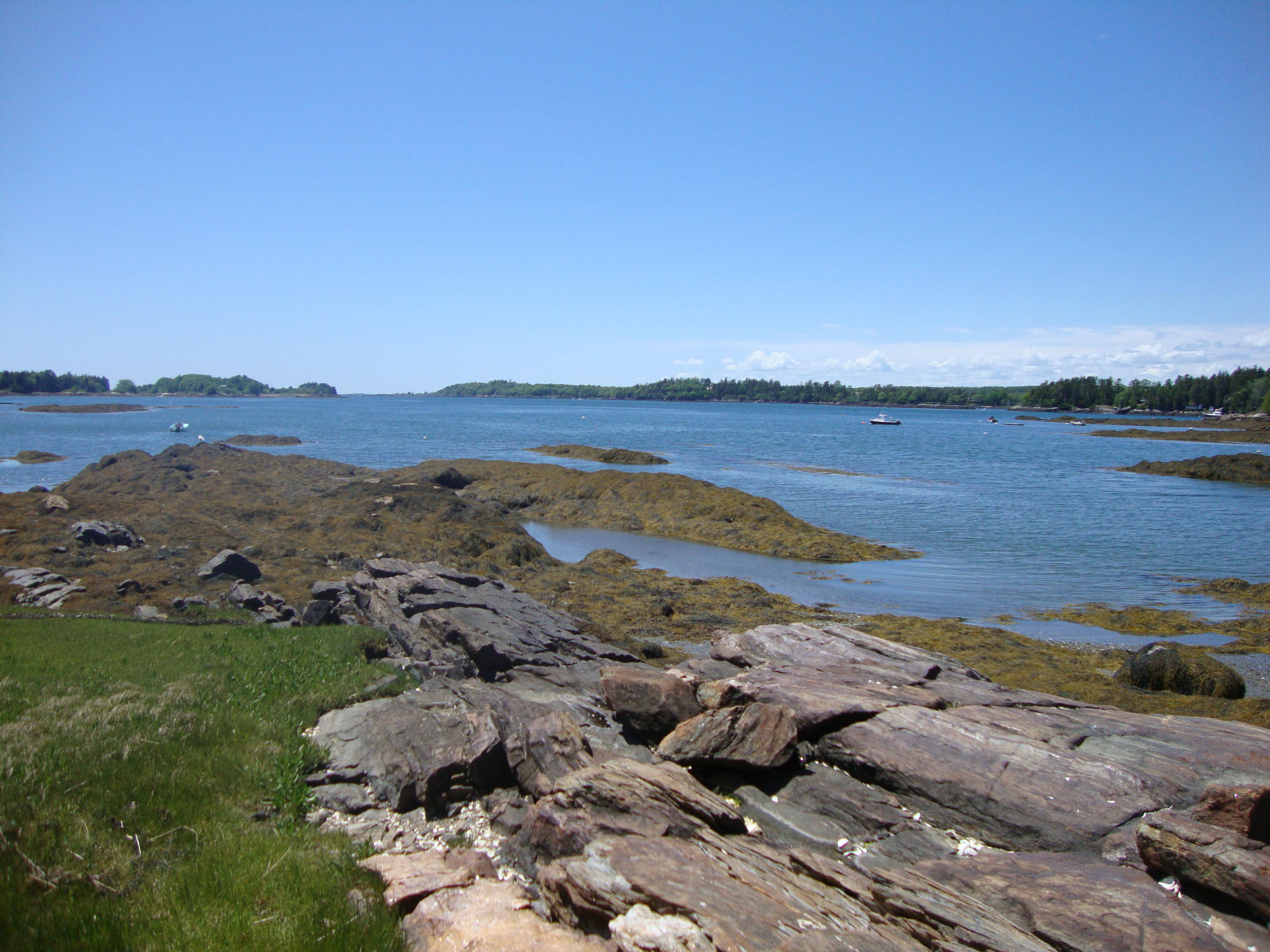 0 Little Ponds Road Harpswell, ME 04079 - Photo 15 of 18 DSC07618