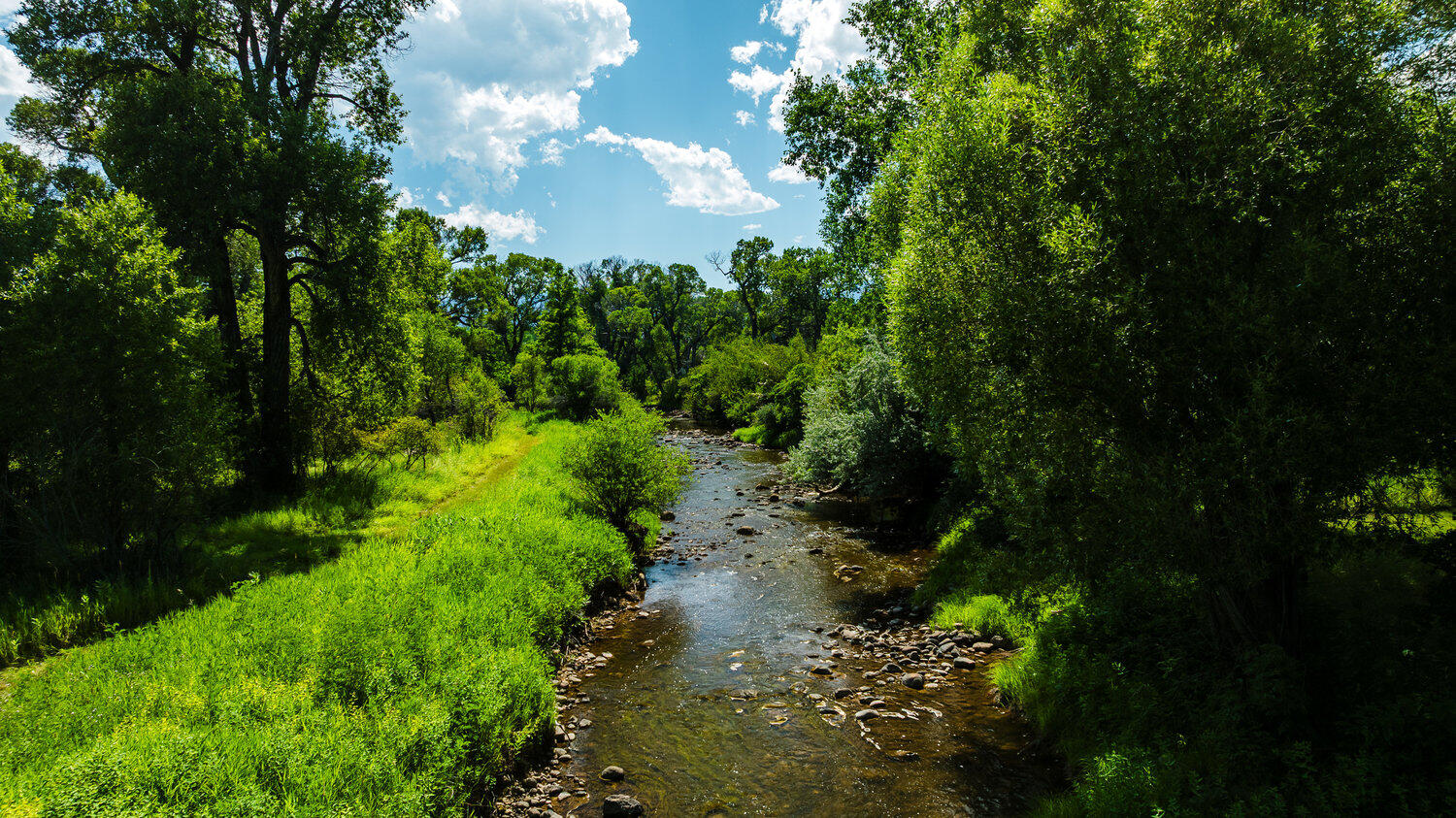 696 Big Goose Road Sheridan, WY 82801 - Photo 4 of 82 dji_20250806150214_0915_d_96