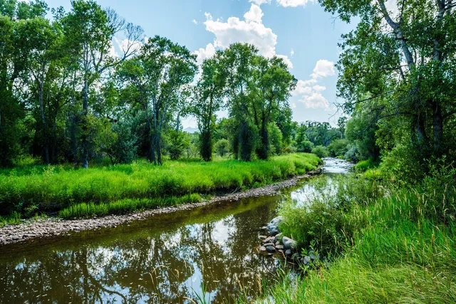 $1,695,000 | 696 Big Goose Road, Sheridan, WY 82801