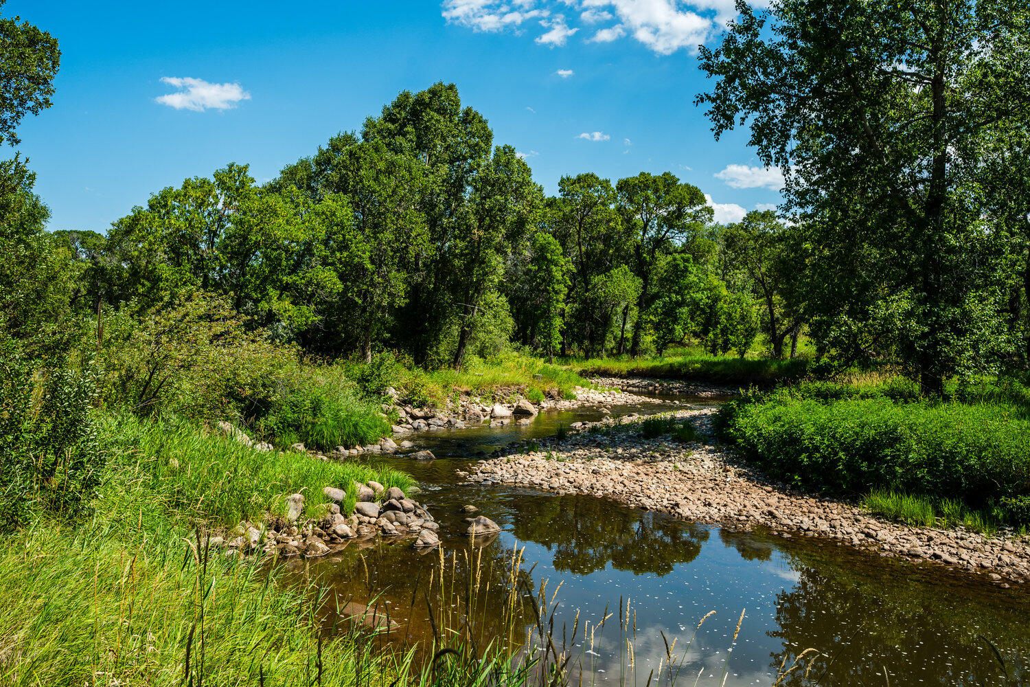696 Big Goose Road Sheridan, WY 82801 - Photo 81 of 82 dsc_2448_639