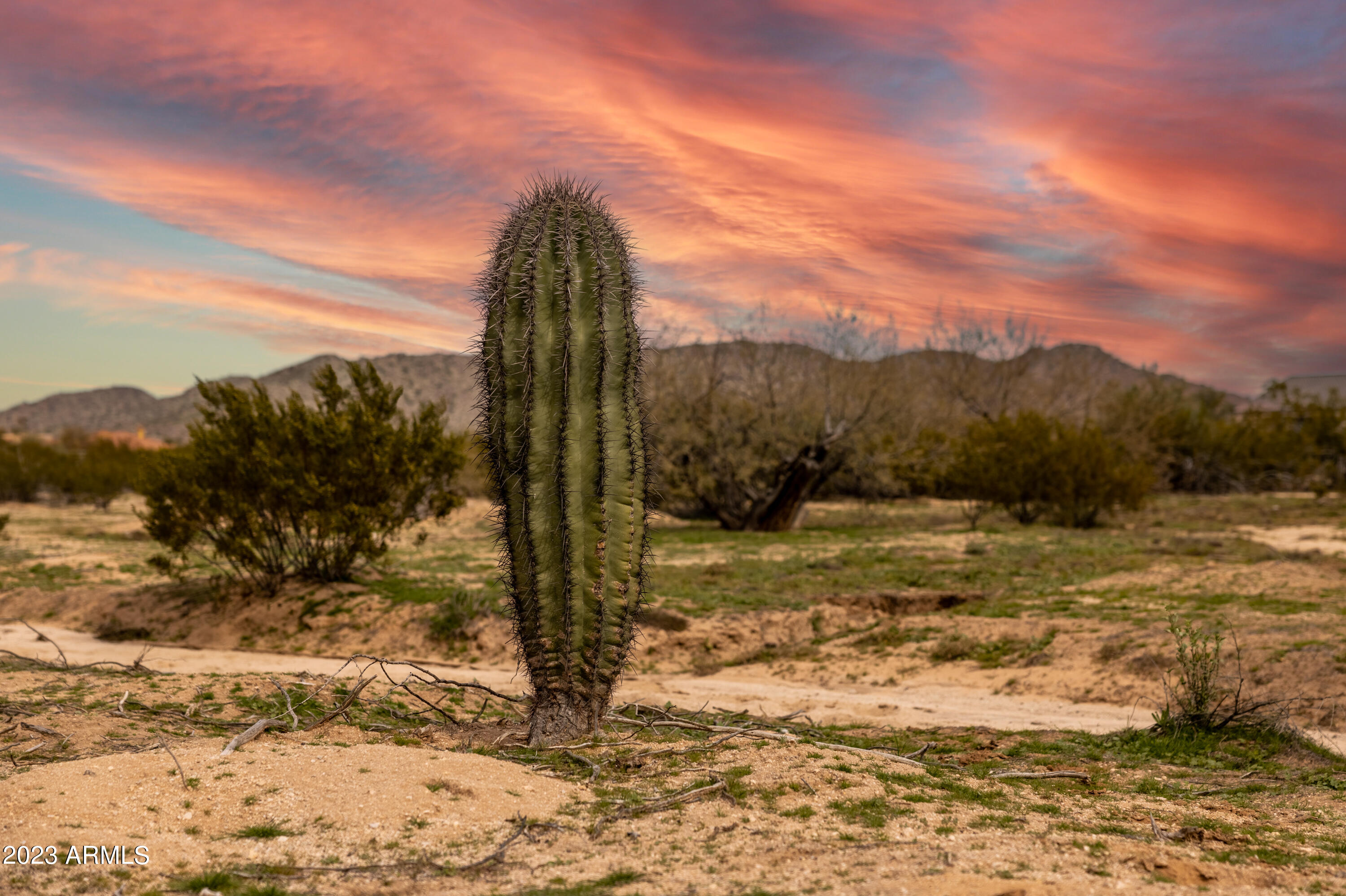1 West Martin Road Casa Grande, AZ 85194 - Photo 9 of 11 a view of a yard with mountain