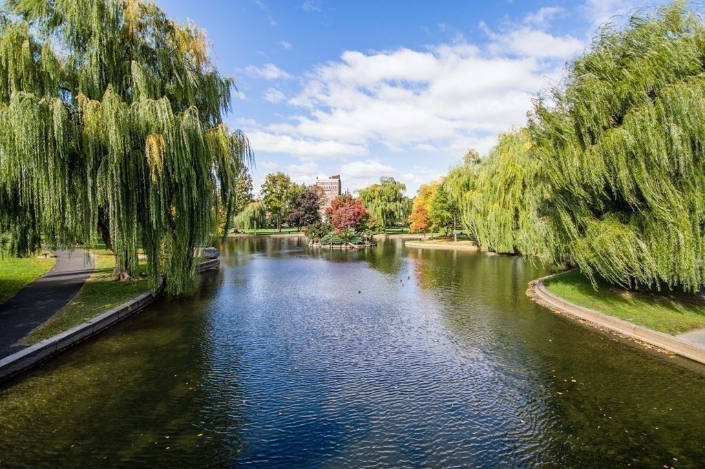 81 Beacon Street, Unit 8 Boston, MA 02108 - Photo 29 of 32 a view of a lake with a yard