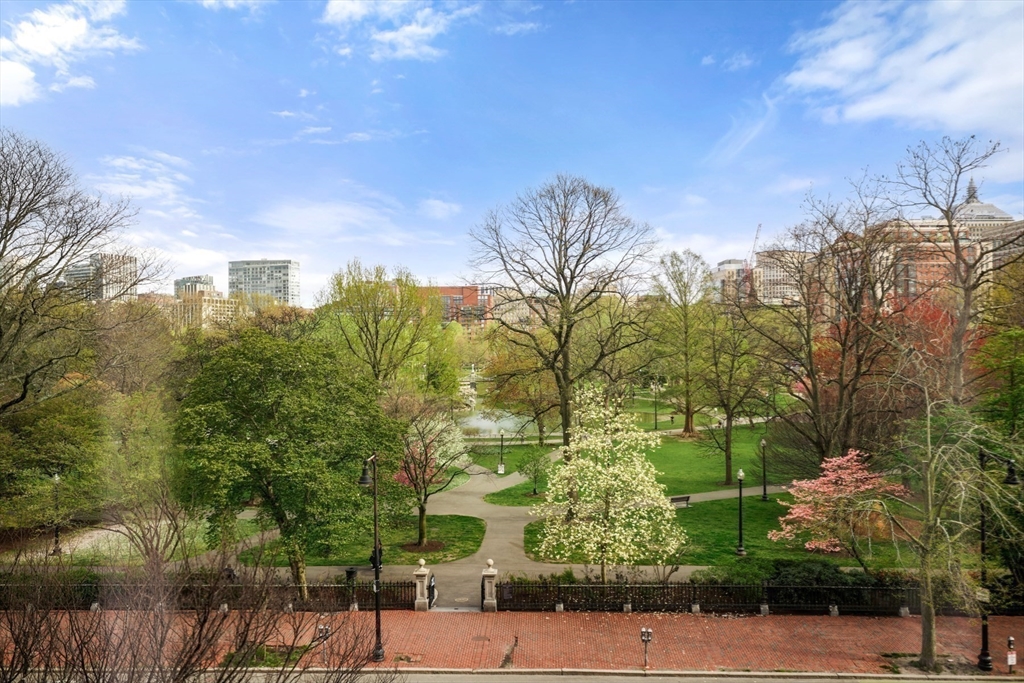 81 Beacon Street, Unit 8 Boston, MA 02108 - Photo 7 of 32 a view of a city with tall trees