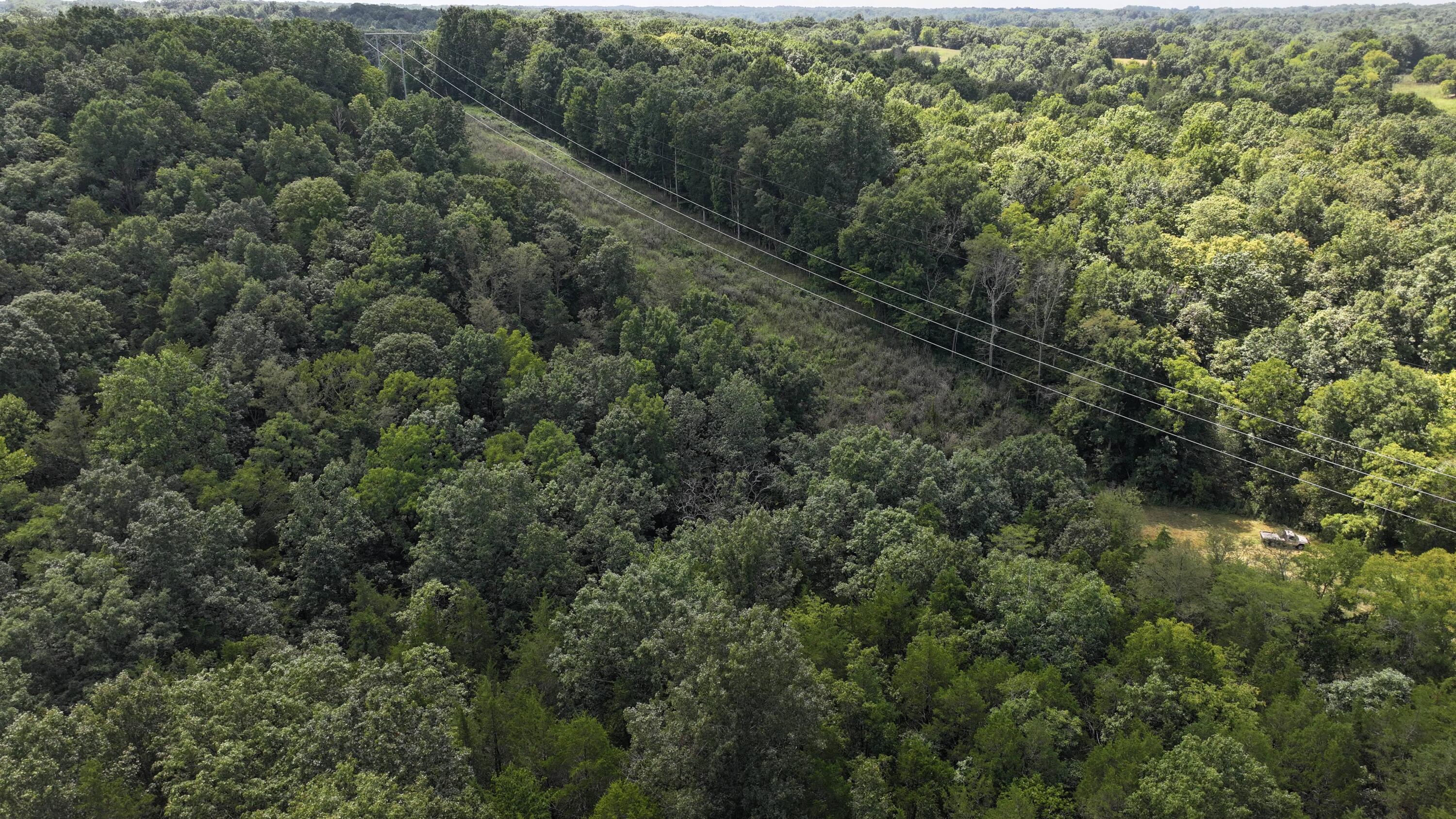 0 Caney Creek Road Owenton, KY 40359 - Photo 27 of 35
