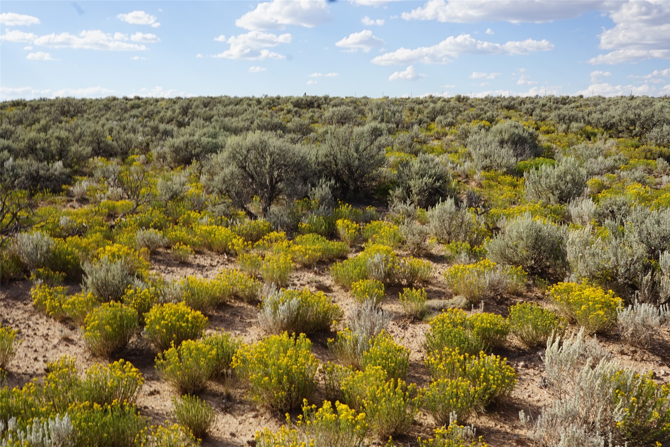 Xx Xx Rim Road Carson, NM 87517 - Photo 2 of 4