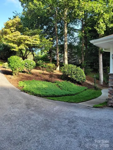 a view of a garden with large trees