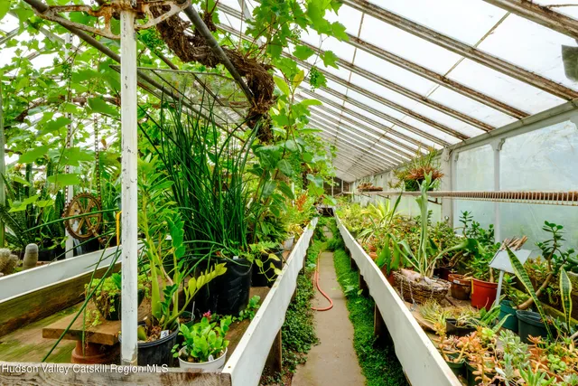 a room with lawn chairs and a large tree