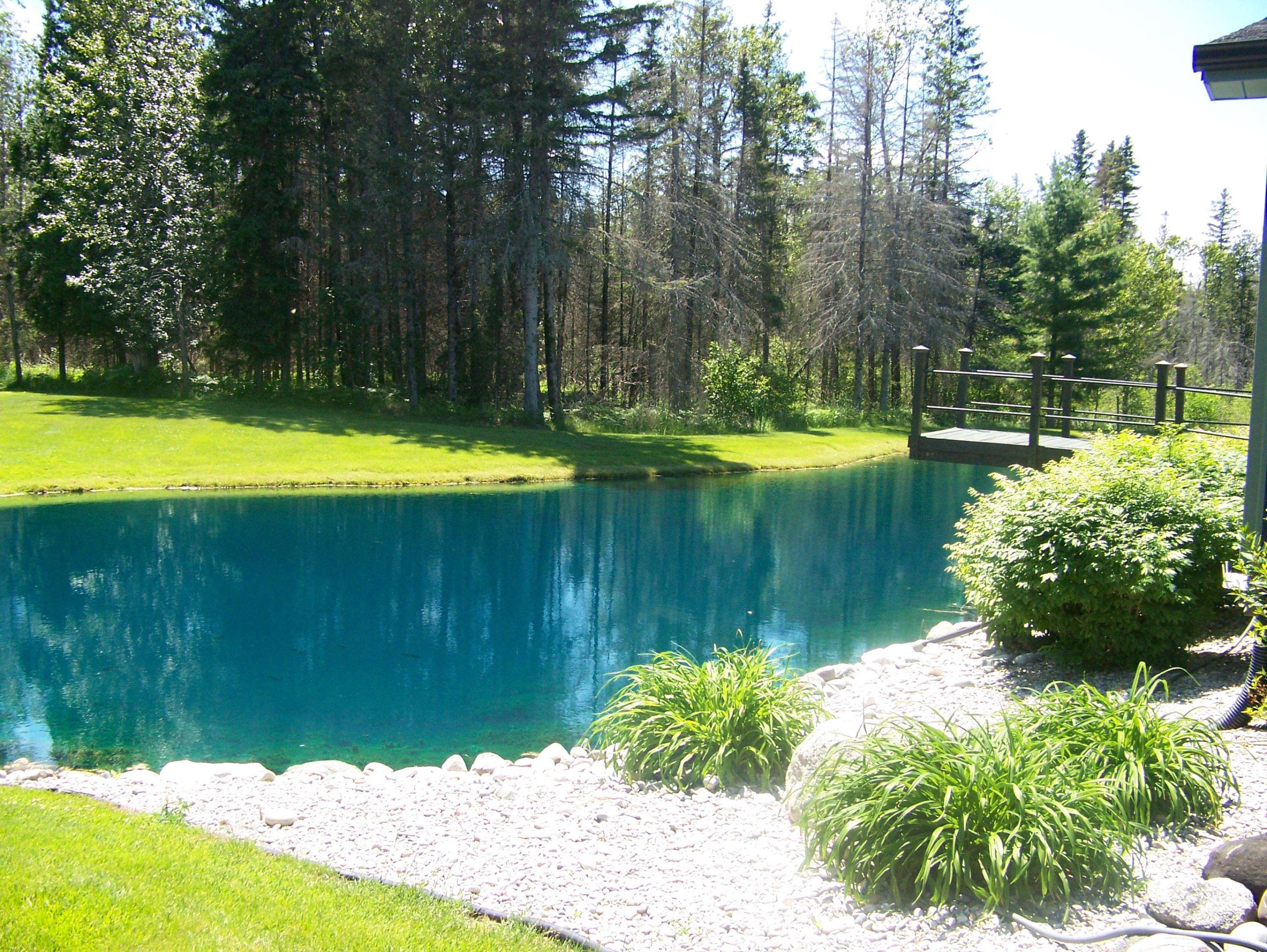5687 West Frutchey Ranch Road Curran, MI 48728 - Photo 25 of 41 Gallery Image 25