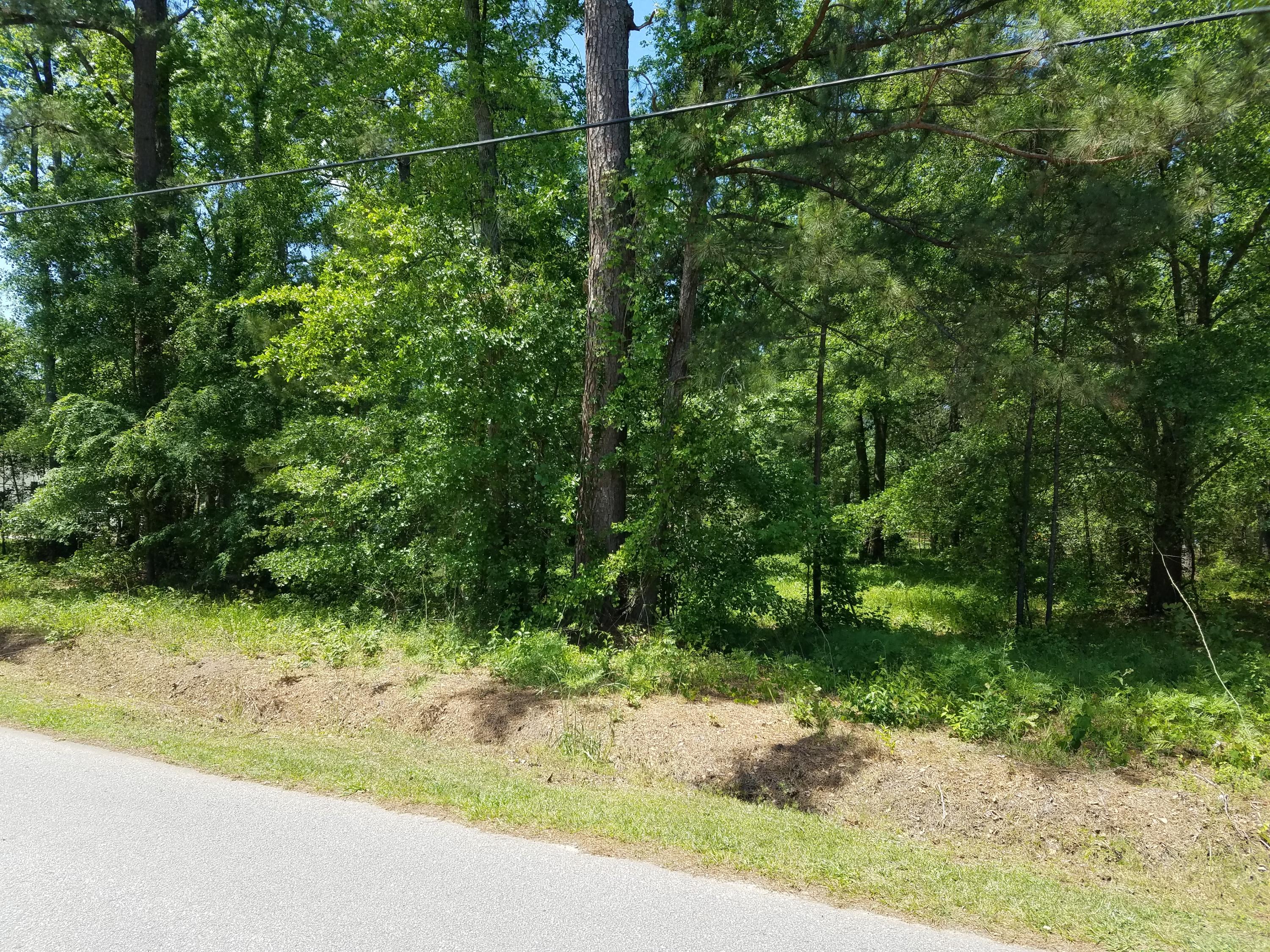 1 Behling Street St. George, SC 29477 - Photo 1 of 8 20170421_124336