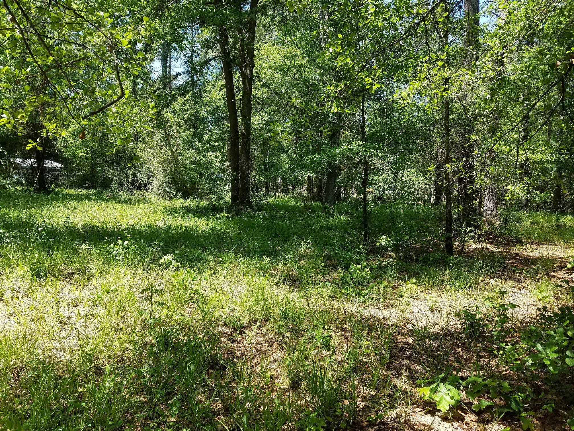 1 Behling Street St. George, SC 29477 - Photo 7 of 8 20170421_124255