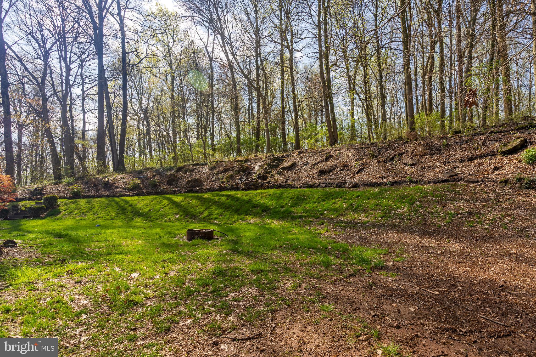 755 Sportsman Road Denver, PA 17517 - Photo 23 of 77 a view of a yard with large trees