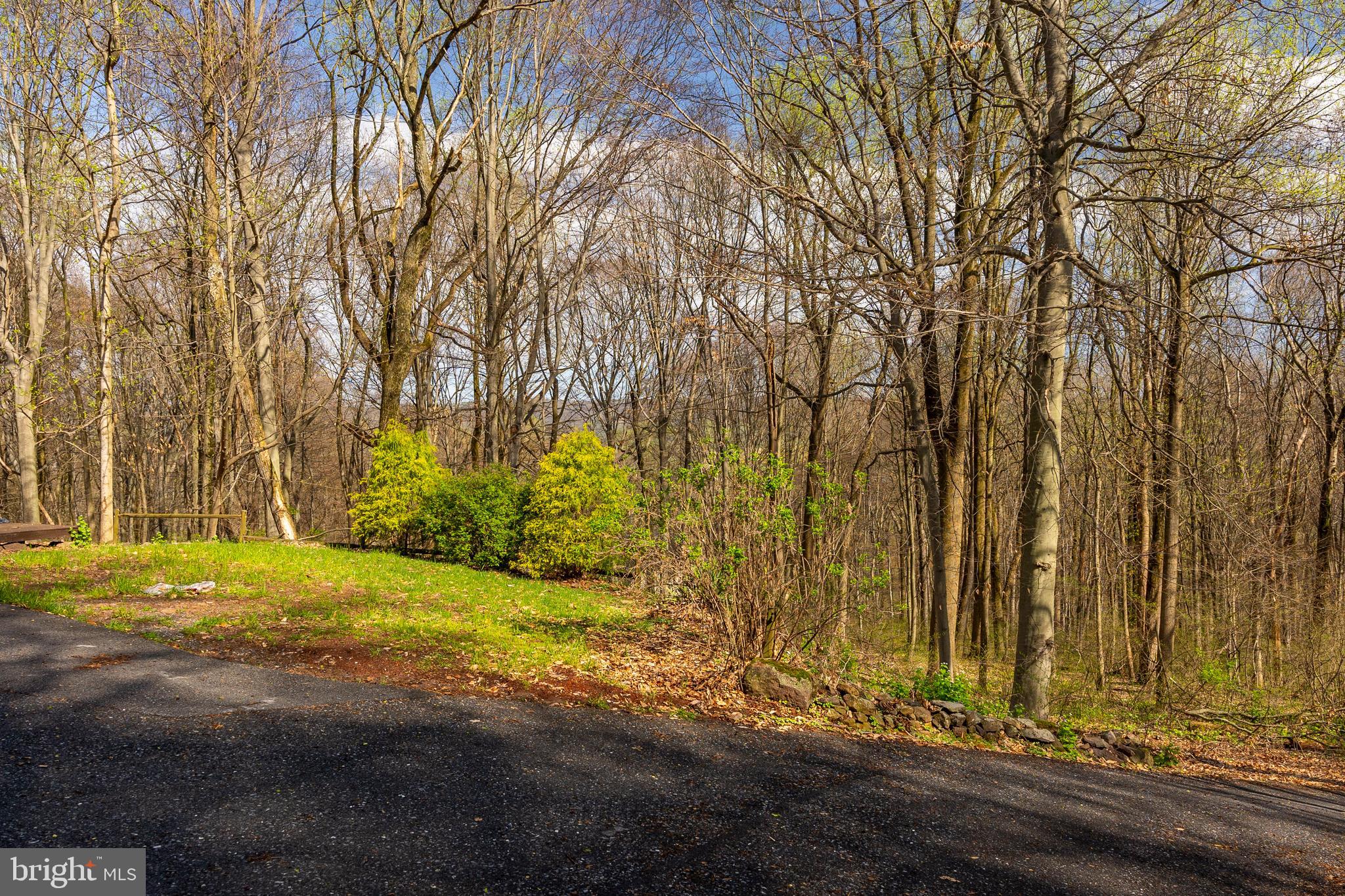 755 Sportsman Road Denver, PA 17517 - Photo 24 of 77 a view of back yard of the house