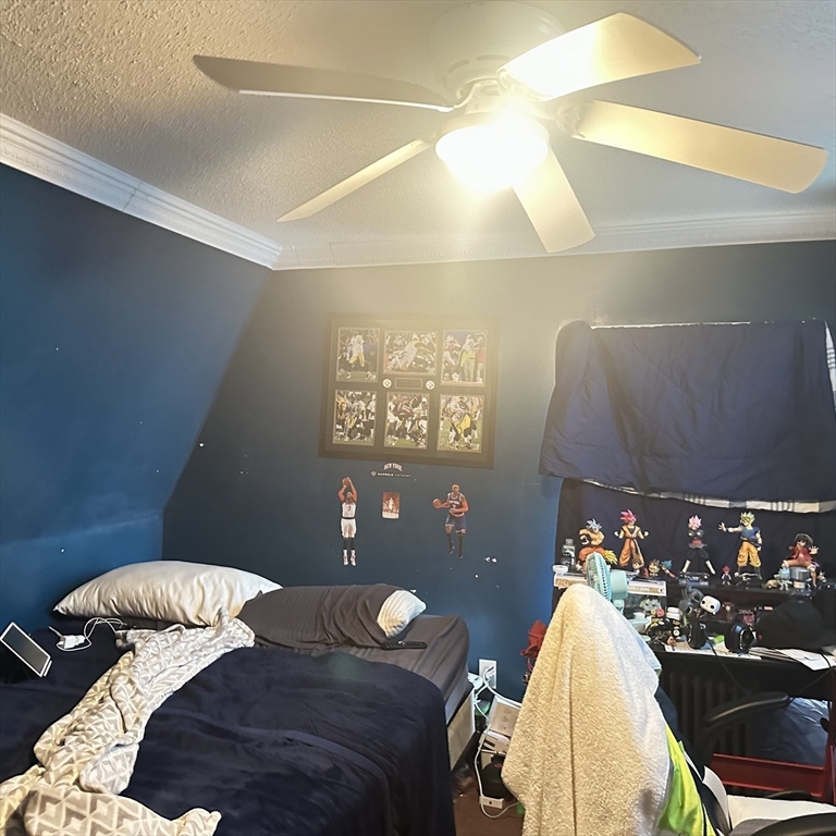 127 Elijah Street Springfield, MA 01109 - Photo 21 of 36