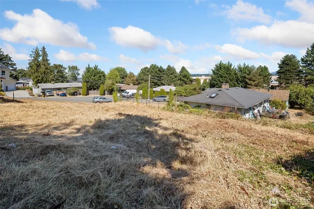 a view of a dry yard with wooden fence