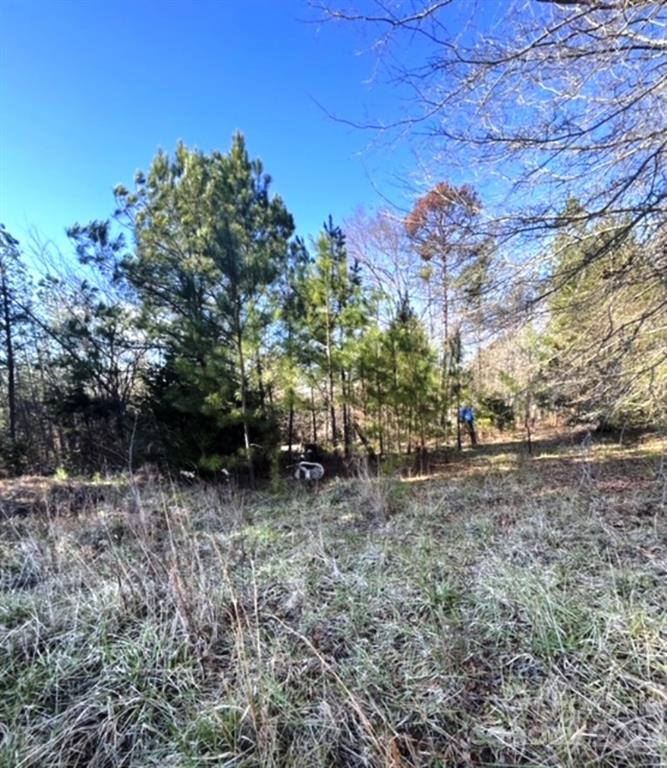 1248 Ridgeview Road Chester, SC 29706 - Photo 1 of 4 a view of a yard with plants and trees
