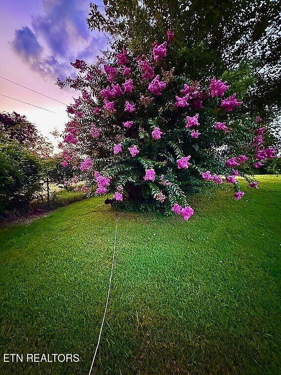 3351 East State Line Road Union City, TN 38261 - Photo 31 of 36 31