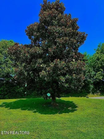 $225,000 | 3351 East State Line Road, Union City, TN 38261