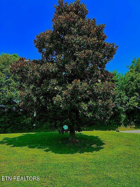 3351 East State Line Road Union City, TN 38261 - Photo 33 of 36 32