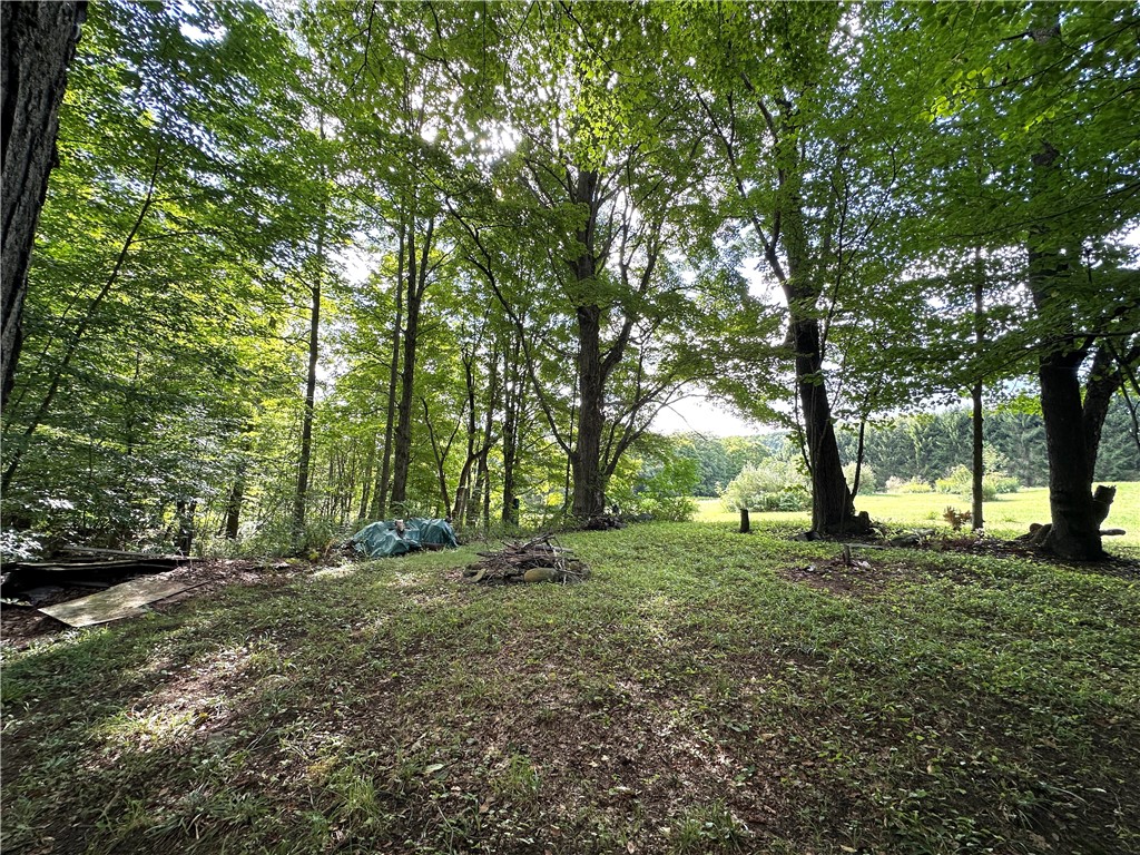 0 Lanning Road Naples, NY 14512 - Photo 20 of 33