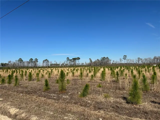 $39,000 | 11 Sellers Road Northwest, Baxley, GA 31513