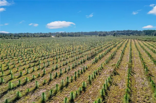 $39,000 | 11 Sellers Road Northwest, Baxley, GA 31513