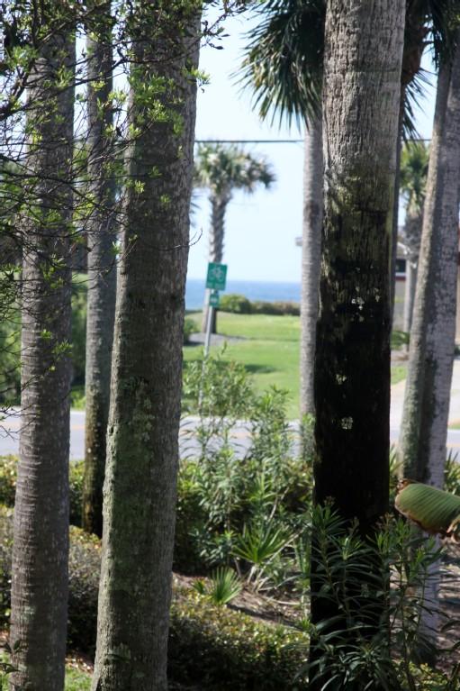 145 Spires Lane, Unit 103 Santa Rosa Beach, FL 32459 - Photo 7 of 10 Gallery Image 7