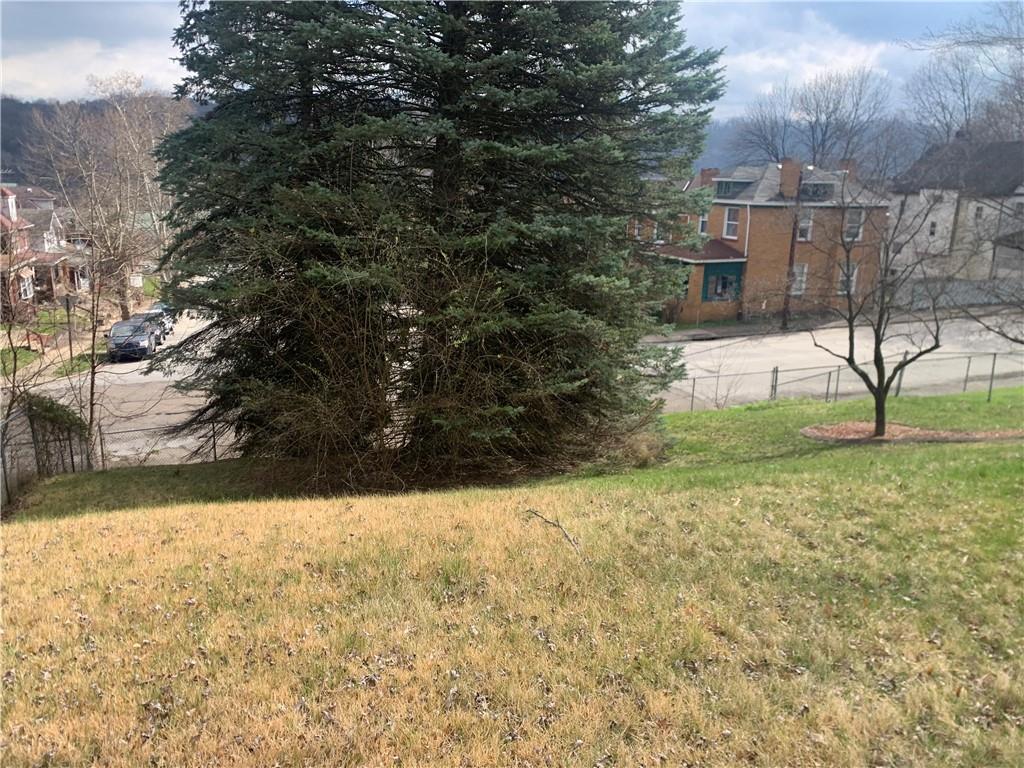 213 Library Court Duquesne, PA 15110 - Photo 34 of 38 a view of back yard of the house