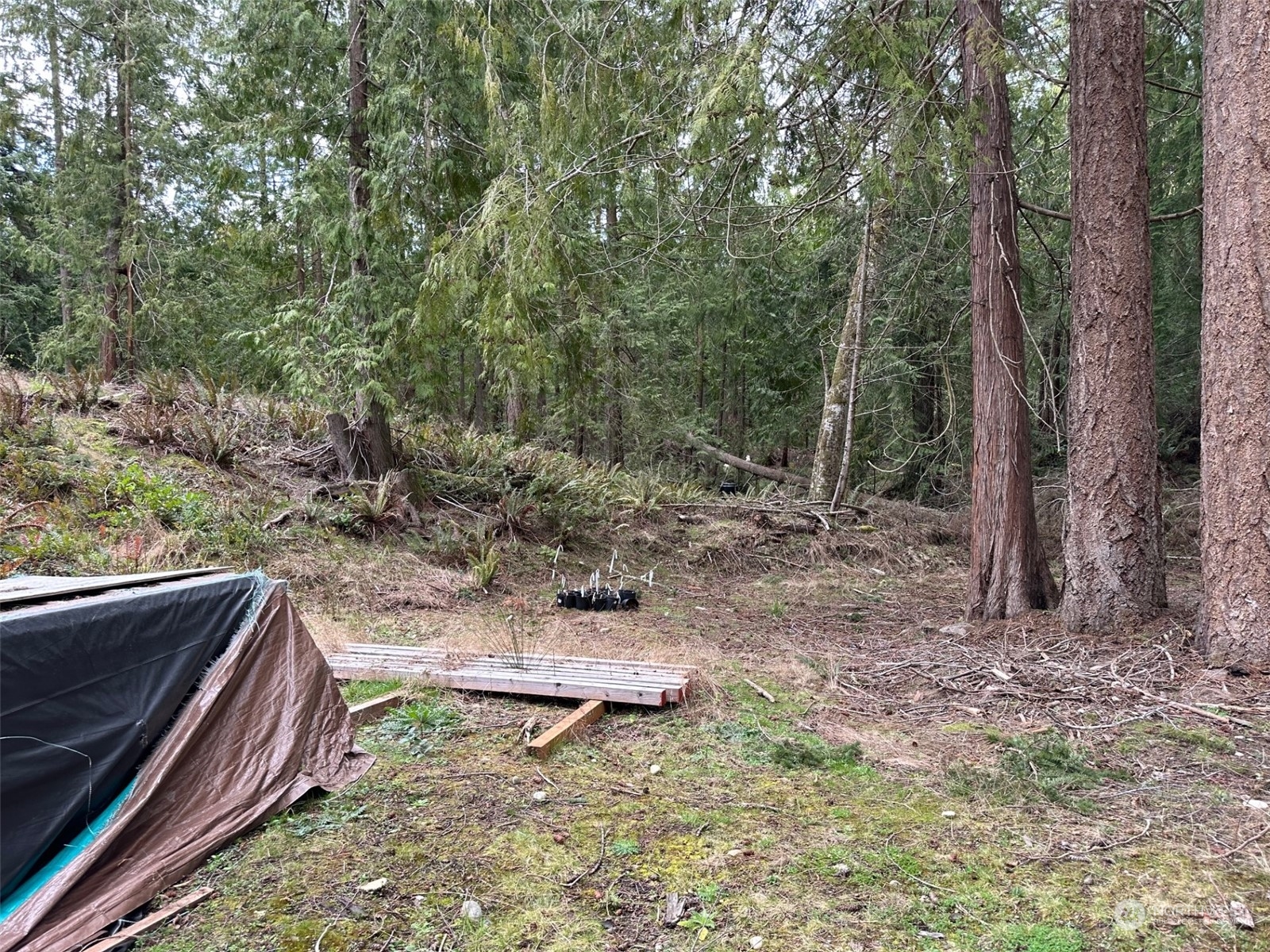 311 Thunder Road Port Townsend, WA 98368 - Photo 12 of 20 Gallery Image 12