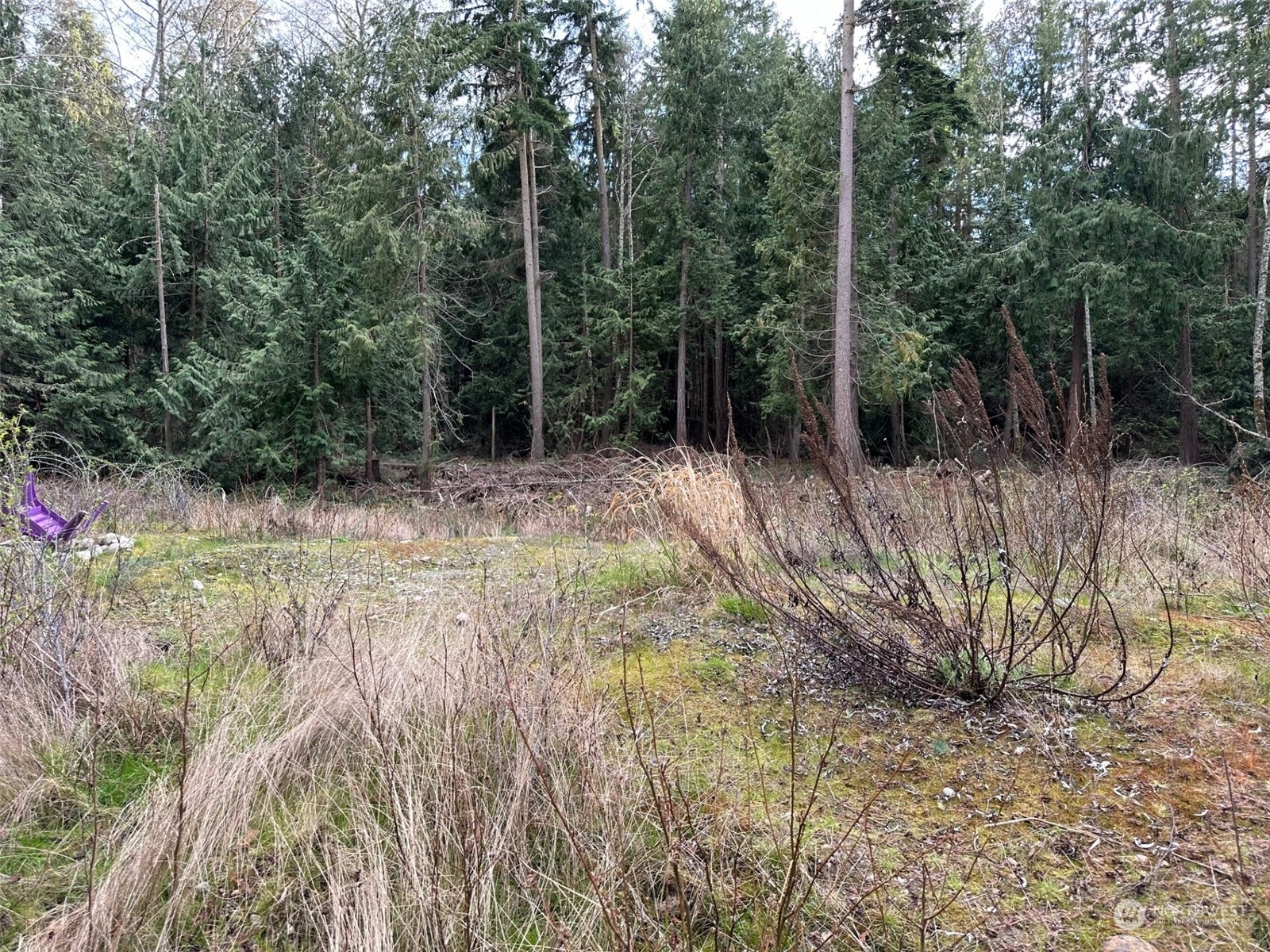 311 Thunder Road Port Townsend, WA 98368 - Photo 15 of 20 Gallery Image 15