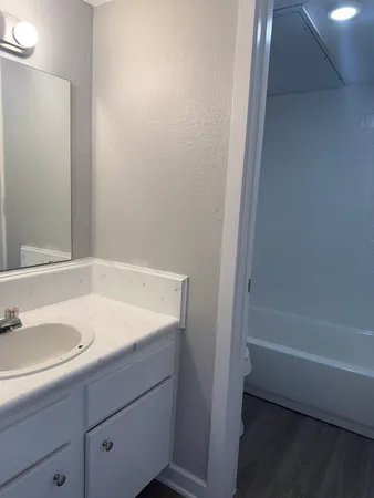 a bathroom with a sink and a bathtub