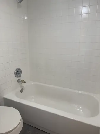 a bathroom with a bathtub and a toilet