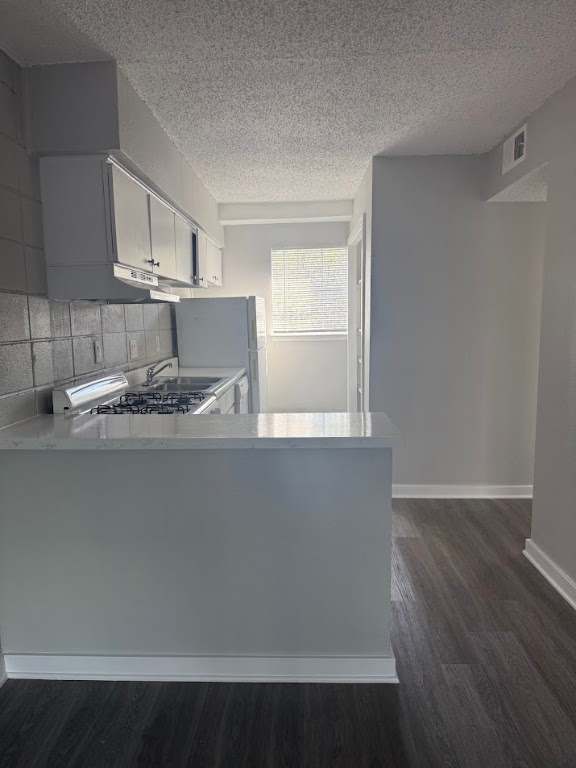 311 East 31st Street, Unit 103 Austin, TX 78705 - Photo 6 of 27 a kitchen with a sink wooden floor and cabinets