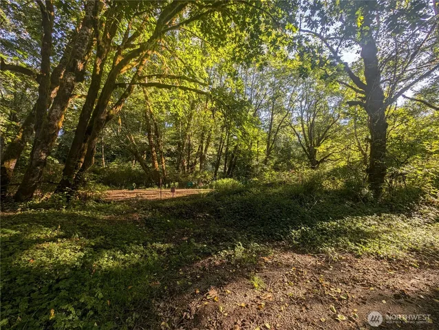 a view of outdoor space and trees