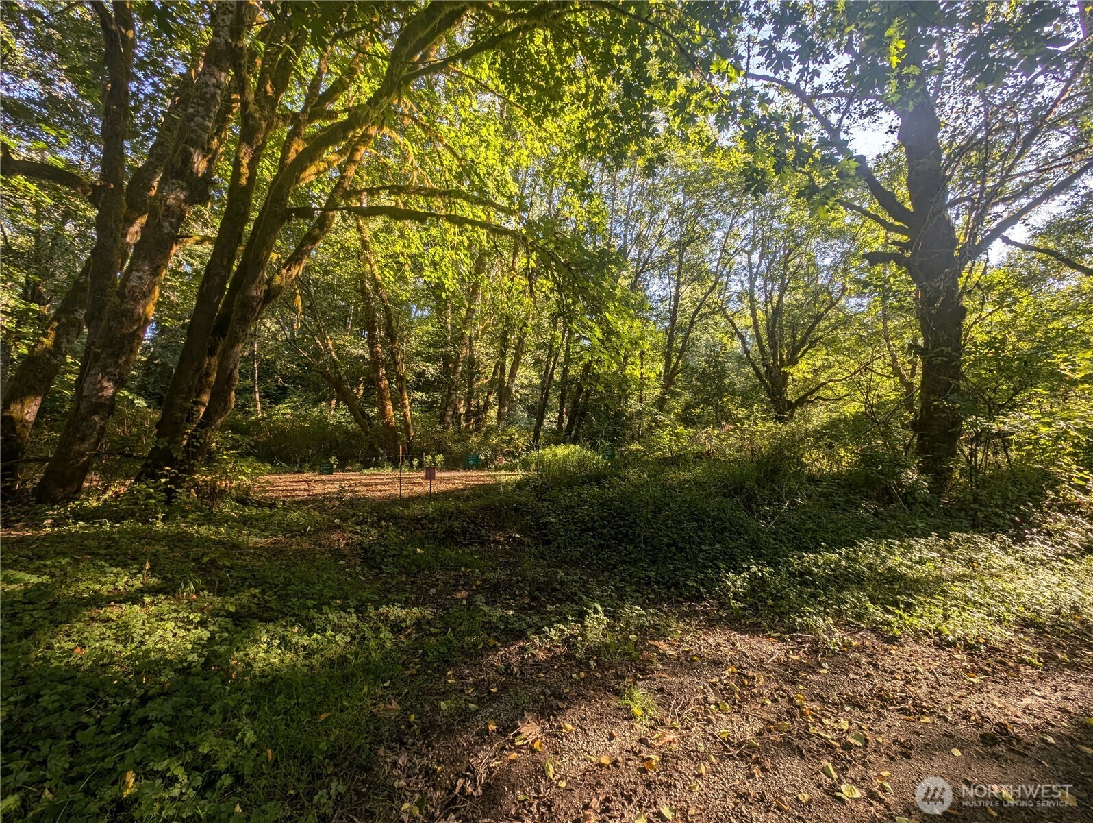 a view of outdoor space and trees