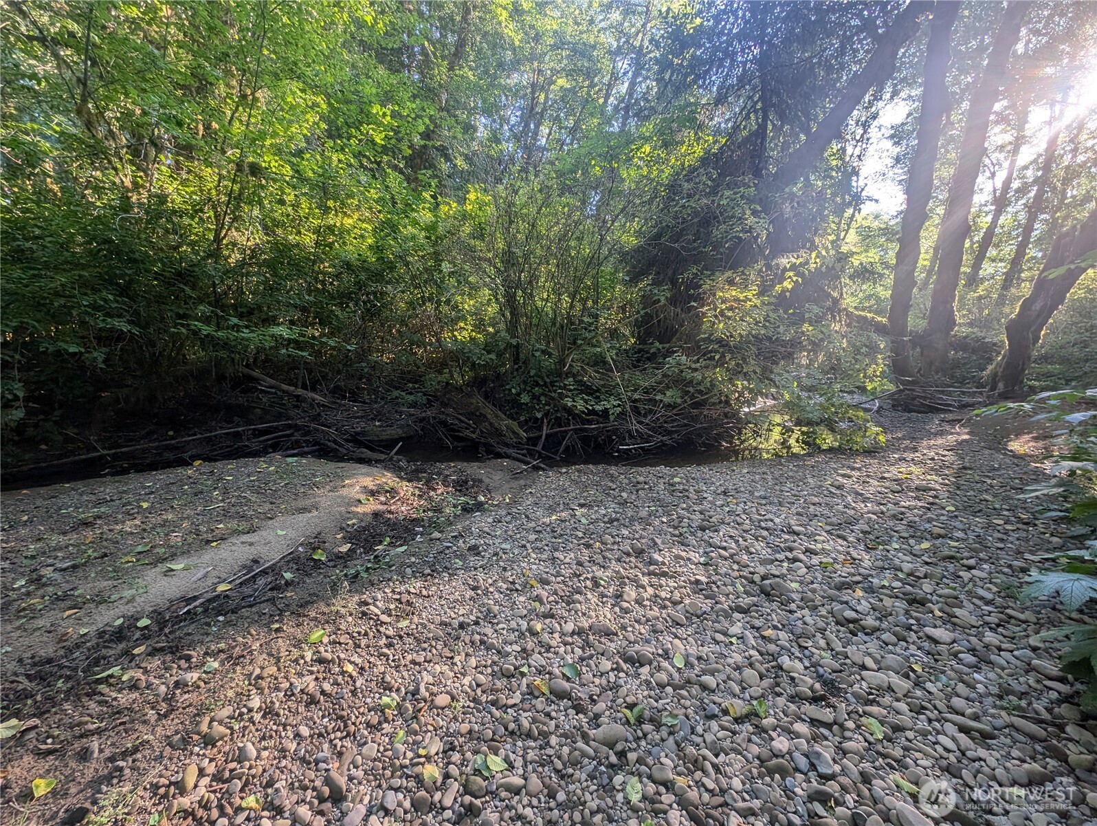 999 Whitcomb-dimmel Rd Forks Forks, WA 98331 - Photo 11 of 20 a view of outdoor space and yard