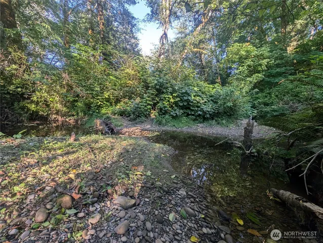 a view of a forest with lots of trees