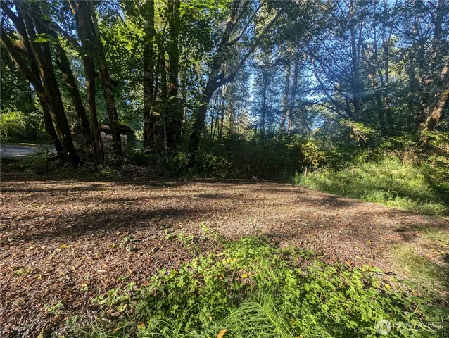 a view of backyard with green space