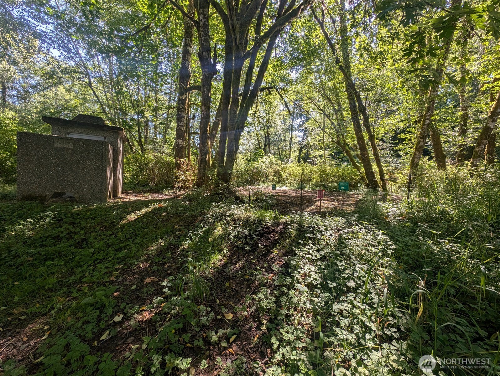 999 Whitcomb-dimmel Rd Forks Forks, WA 98331 - Photo 19 of 20 a view of outdoor space and yard