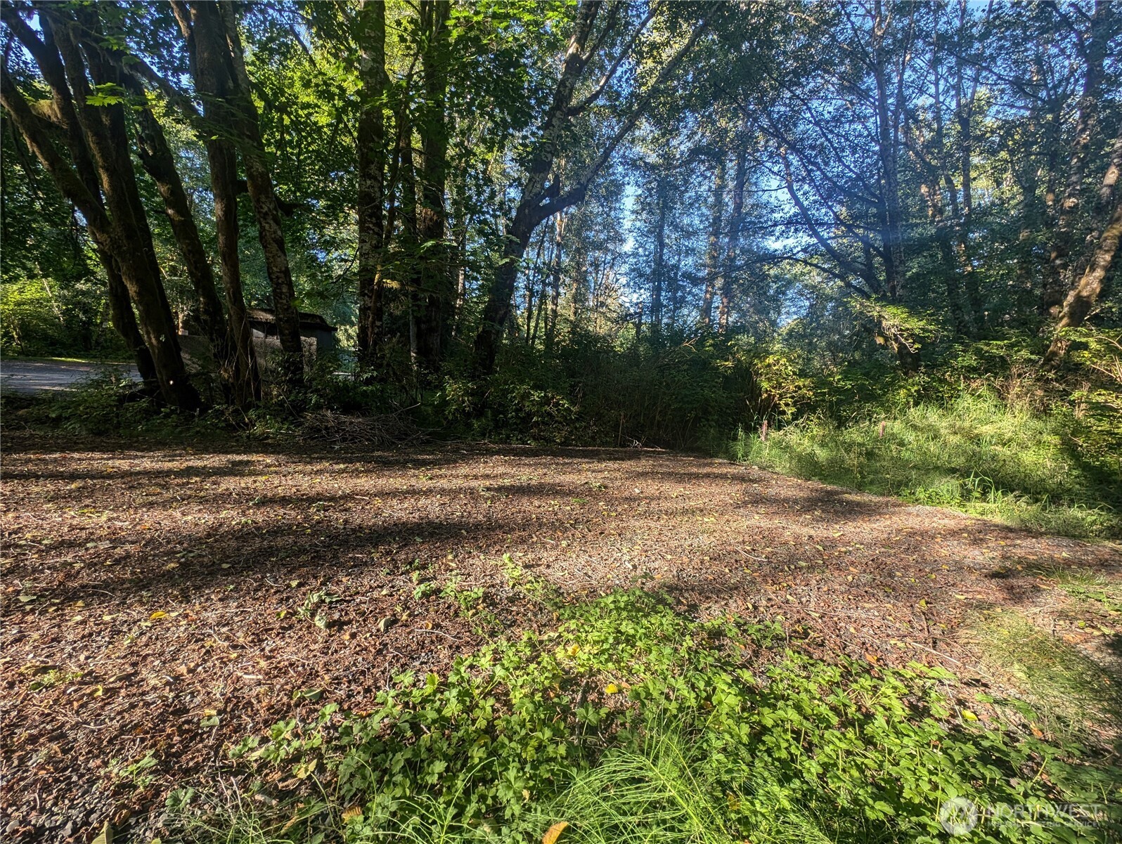 999 Whitcomb-dimmel Rd Forks Forks, WA 98331 - Photo 22 of 24 a view of backyard with green space