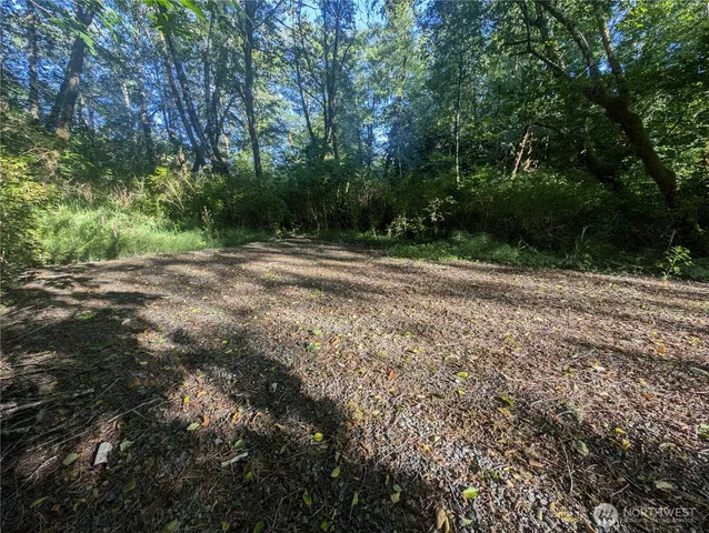 a view of a yard with plants and trees