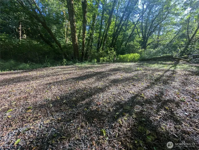 a view of outdoor space and yard