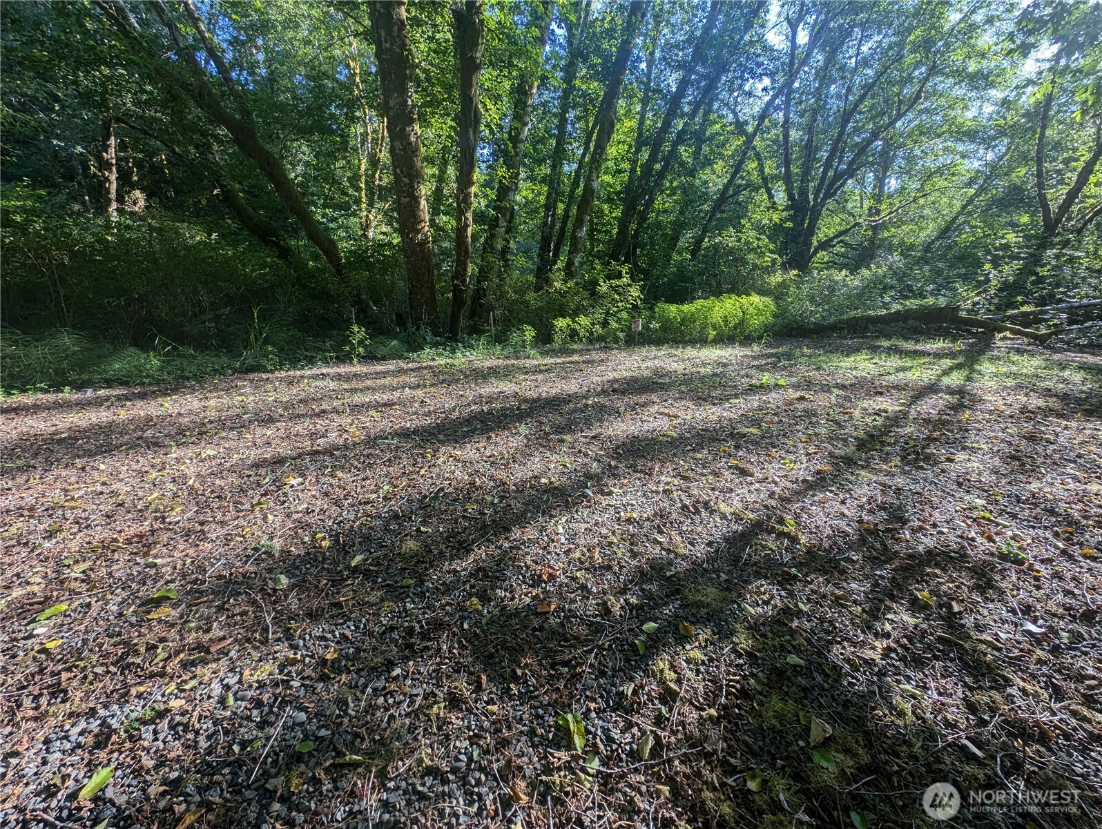 999 Whitcomb-dimmel Rd Forks Forks, WA 98331 - Photo 4 of 20 a view of outdoor space and yard