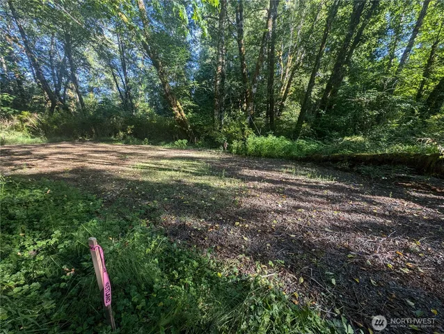 a view of outdoor space with deck and trees