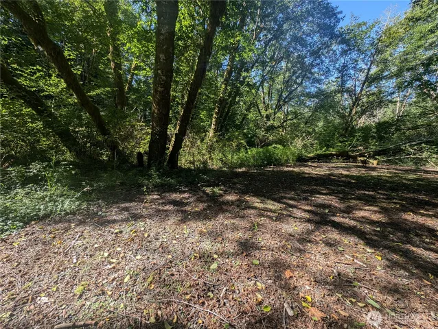 a view of outdoor space and yard